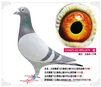 ������չ�ɽ����빫��500�������155��   ��	