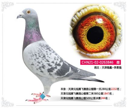 �����Ӯ--���Ԫ���ڷ����빫��500�������244��  ��