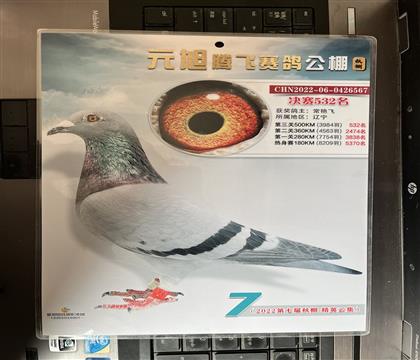 ����Ƭ��뷢��