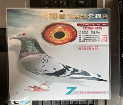 ����Ƭ��뷢��