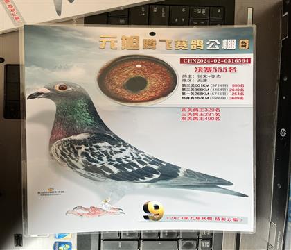 获奖照片随鸽发送