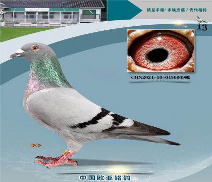 ��.����˹ԭ�ᡰ������638X��������367