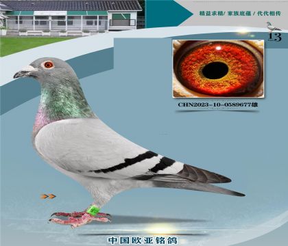 ���Գ����ֹ�926����X��ľ14��767