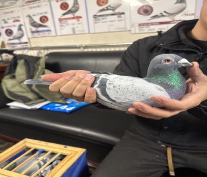 1.��̨�Ǿ�ϵ����ն���