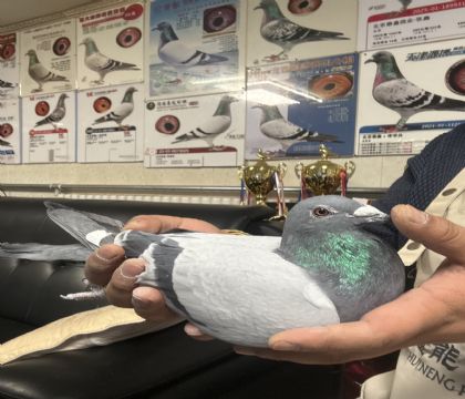 2.������198