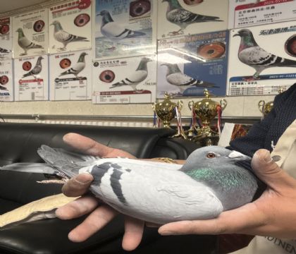 4.�����Ĺظ�������ȫƽ��