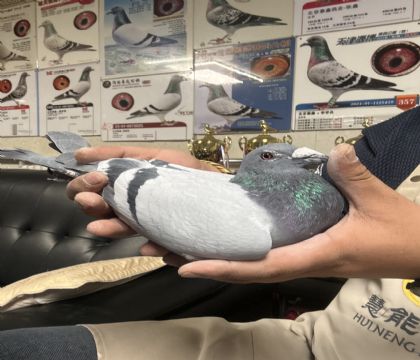 6.����֮�������վ��174��ȫƽ��