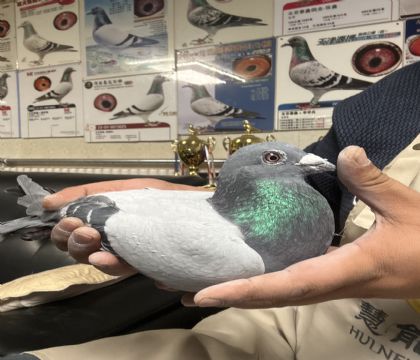 7.������������������