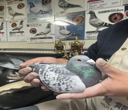 11.���߿�214