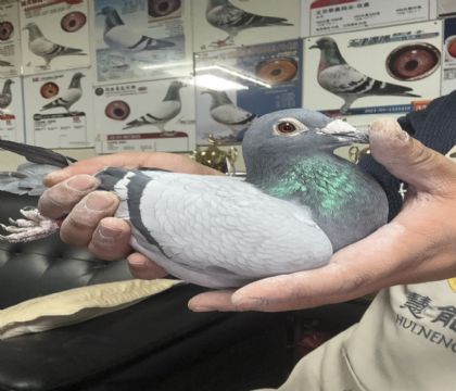 12.��Դ�������144��ֱŮ