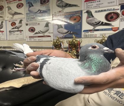 15.�����Ǿ�ϵ������15��ϵ