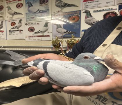 16.��������֮�����캽4��֮��