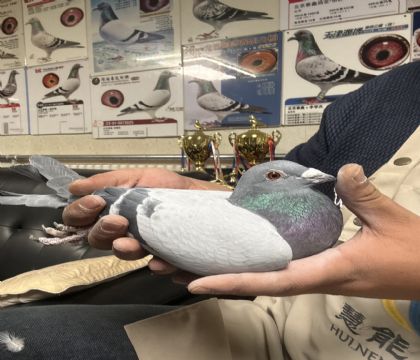 18.�����ָ�574