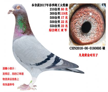 ���ظ����Ǿ��������ƽ��ֱ�ӣ�