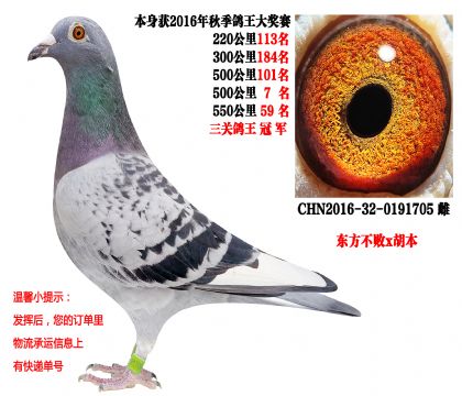 ���ظ����ھ��������ִƣ�