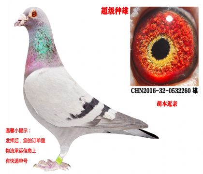 �������ۣ�����������ӣ��������ף�