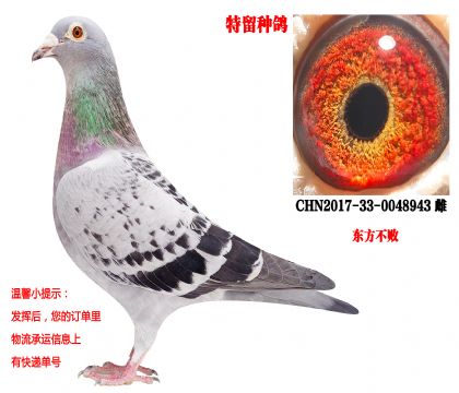 �������ܻƽ�512���ף��������ܣ������ִƣ�