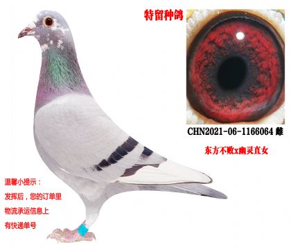 �ϸ����Ǿ�ֱ��xNPO�������ھ�ֱŮ���������ܣ�