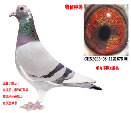 �ƽ�512ֱ��xǿ������Ů����������x̩�¡�����ˣ�