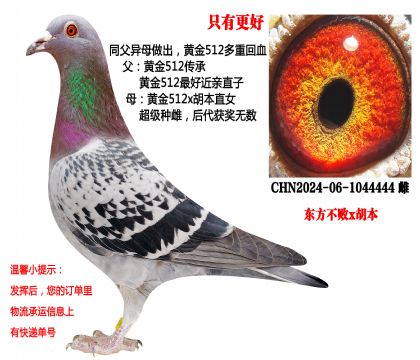 ֻ�и��ã��������ܻƽ�512ֱ��xֱŮ��