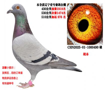 25������Ҽ�Ź���ɼ��룬������4000Ԫ��������