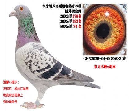 ˳�������Ժ��ְҵ��ɼ��루��������x������