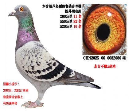 ˳�������Ժ��ְҵ�飨550����82��,520����16����