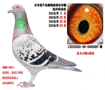 ˳�������Ժ��ְҵ�飨550����45����520����53����