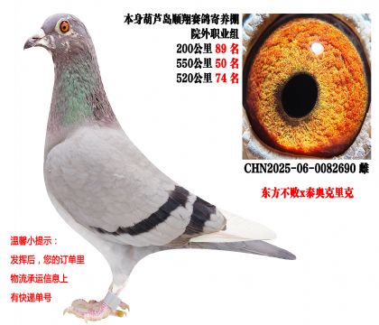 ˳�������Ժ��ְҵ�飨550����50����520����74����