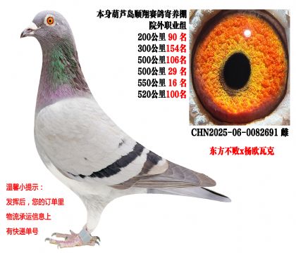 ˳�������Ժ��ְҵ�飨500����29����550����16����