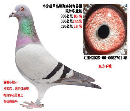 ˳�������Ժ��ְҵ�飨520����18����