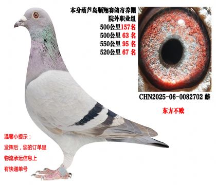 ˳�������Ժ��ְҵ�飨4��500����عظ�λ��