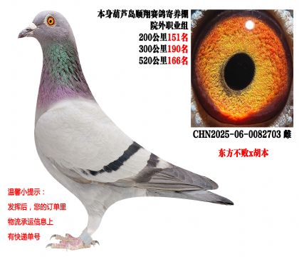 ˳�������Ժ��ְҵ�飨�ƽ�512ֱ��x������ֱŮ��