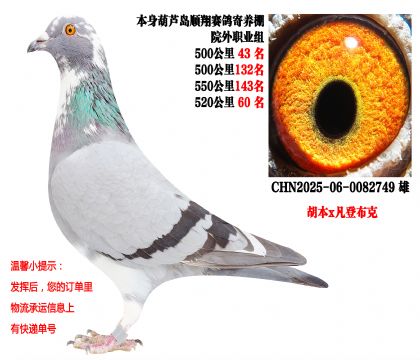 ˳�������Ժ��ְҵ�飨4��500����عظ�λ��