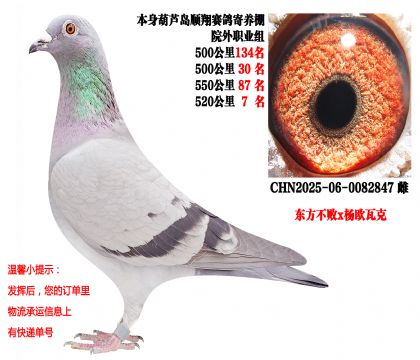 ˳�������Ժ��ְҵ�飨520����7�����عظ�λ��