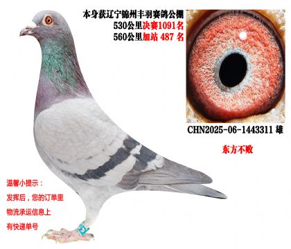 ����������������룬��վ���ָ�λ���������ܣ�