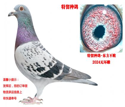 �������ܣ������ָ루�ƽ�512ֱ��x�ƽ�512ֱŮ��