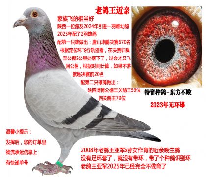 08���ϸ����Ǿ����ף��������ܣ�