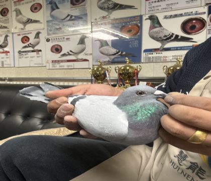 23.�����ָ�882