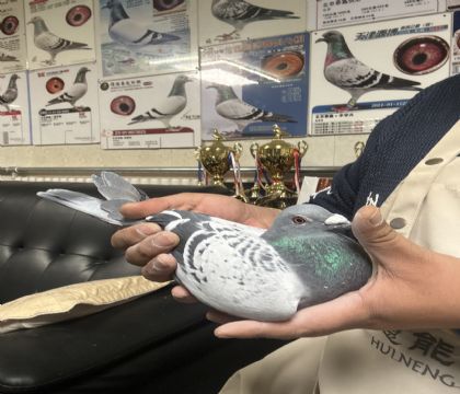 24.�����ָ�351