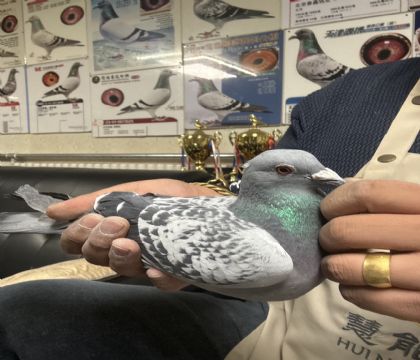 26.�����ָ�087