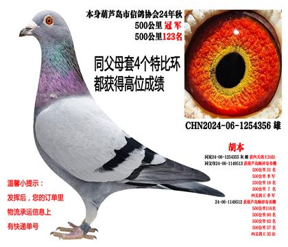 ͬ��ĸȫƽ��