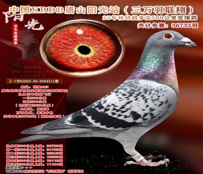 �����Ƽ�-����ѡ��-�й�KBDB�������辫ѡ.