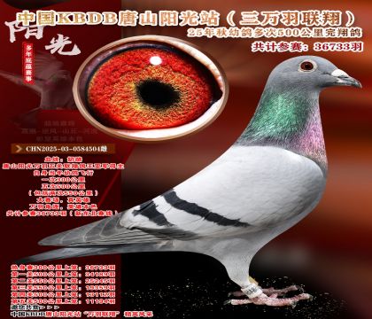 �����Ƽ�-����ѡ��.�й�KBDB�������辫ѡ