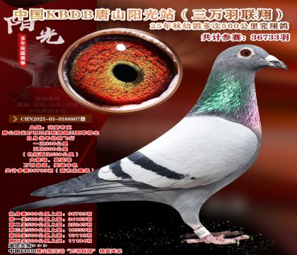 ����ѡ��-�й�KBDB�������辫ѡ.