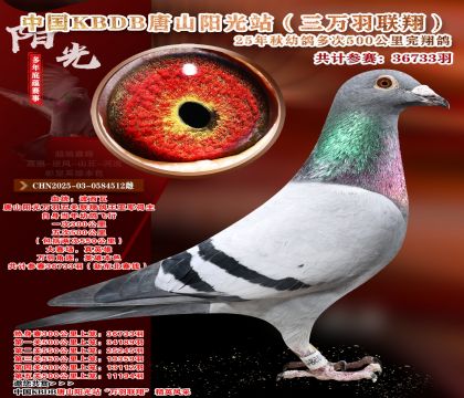 ����ѡ��-�й�KBDB�������辫ѡ.