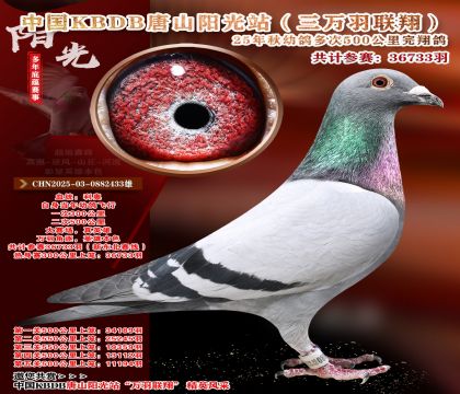 ����ѡ��-�й�KBDB�������辫ѡ.