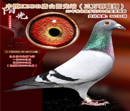 ����ѡ��-�й�KBDB�������辫ѡ.