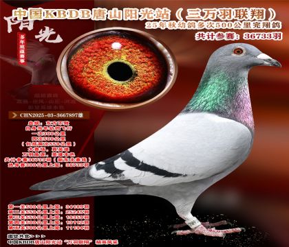 ����ѡ��-�й�KBDB�������辫ѡ.