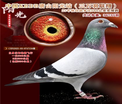 ����ѡ��-�й�KBDB�������辫ѡ.